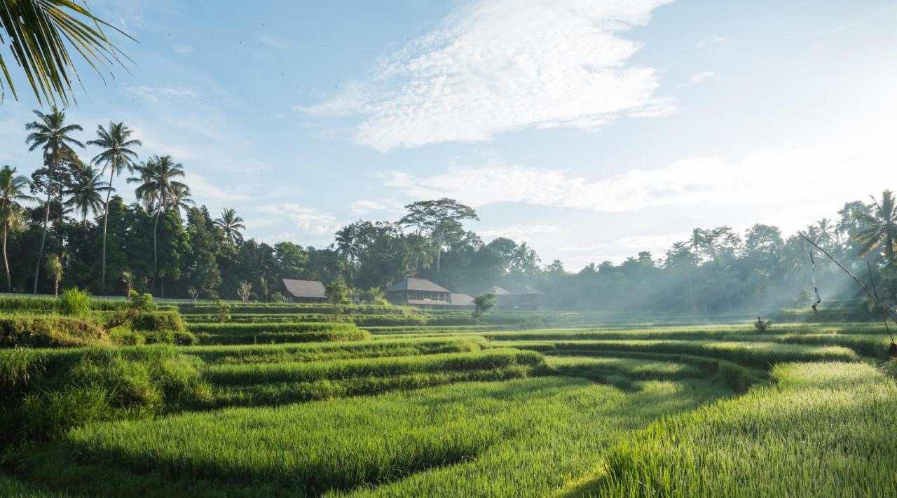 Benisari Batik Garden Cottage Ubud Zewnętrze zdjęcie