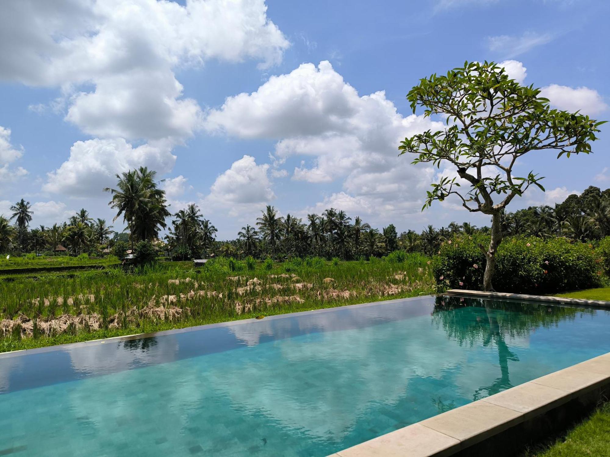 Benisari Batik Garden Cottage Ubud Pokój zdjęcie